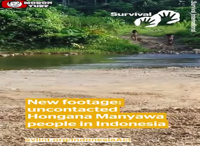 Video :In a jungle in Indonesia, two members of an indigenous tribe pose a threat to workers